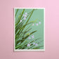 garden snowflakes - art print