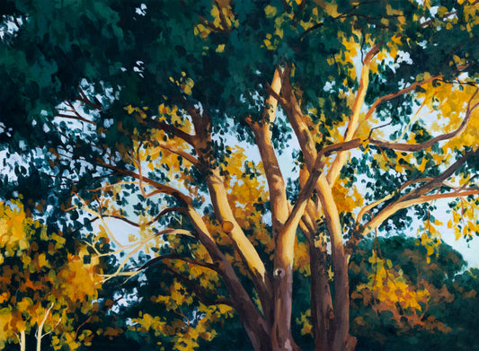 golden hour gums - art print