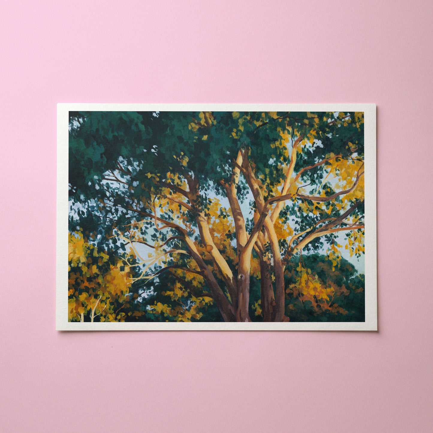 golden hour gums - art print