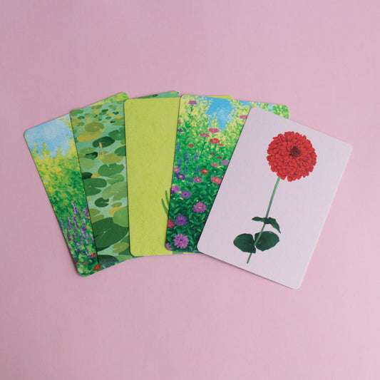 postcard 5 pack - flora