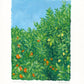 citrus and sky - original painting