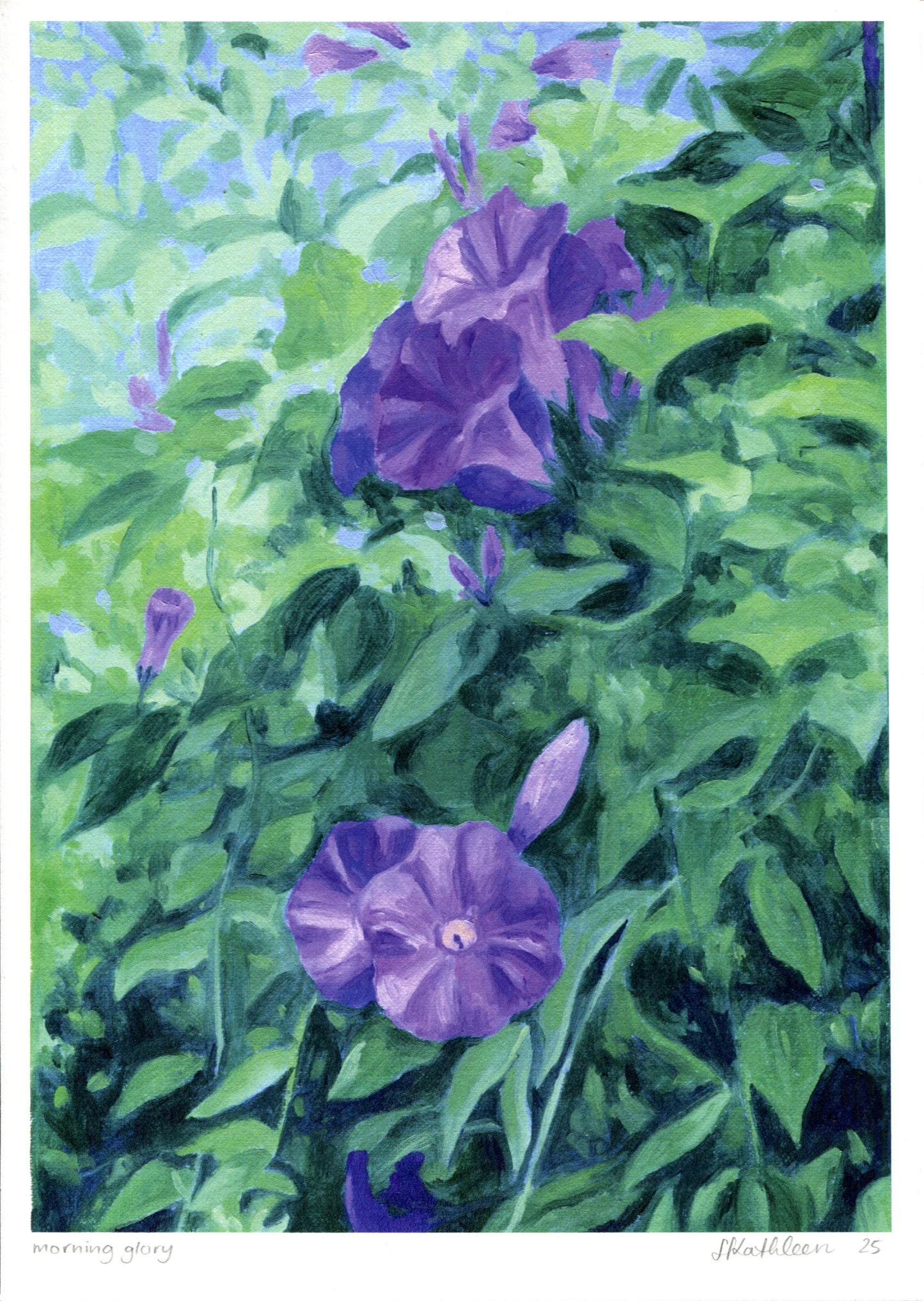 morning glory - art print
