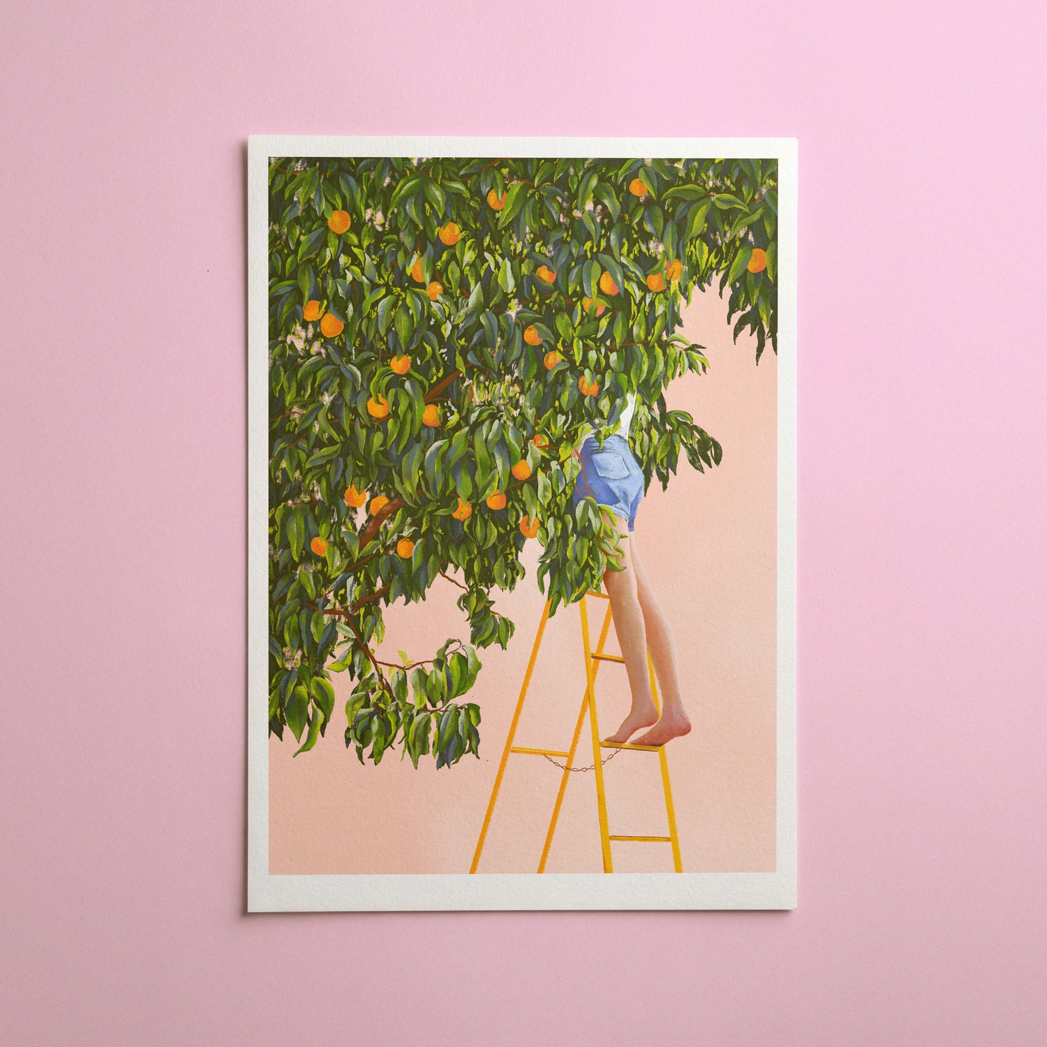 digital illustrations