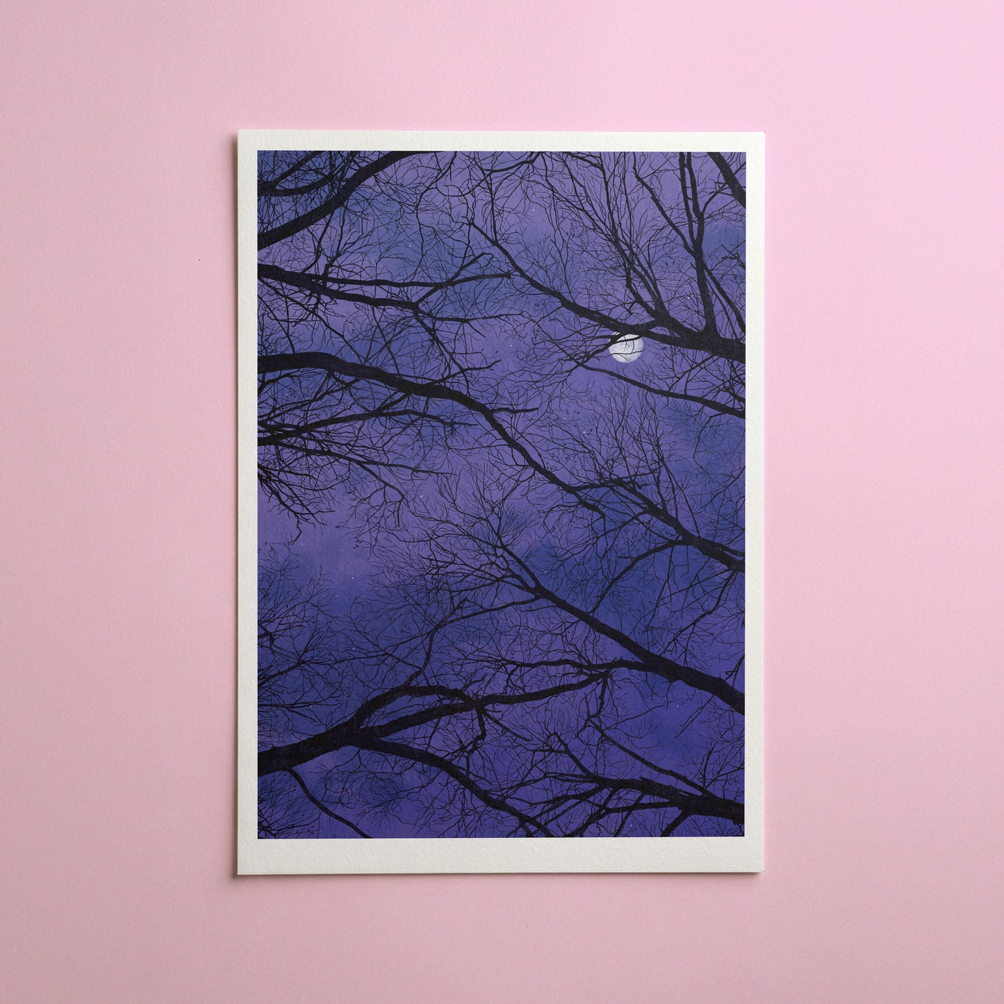 moonlit trees - art print