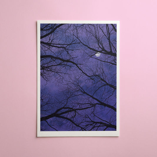 moonlit trees - art print