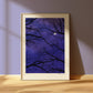 moonlit trees - art print