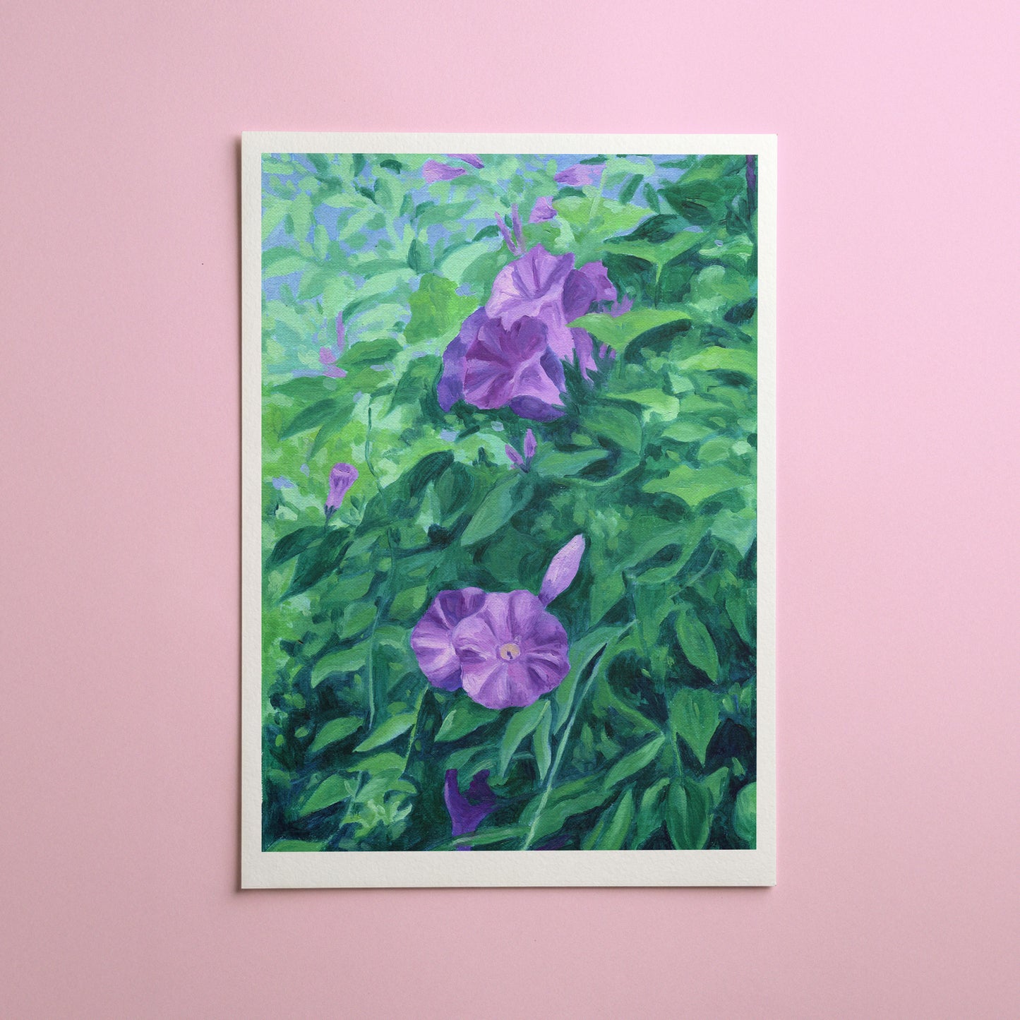 morning glory - art print