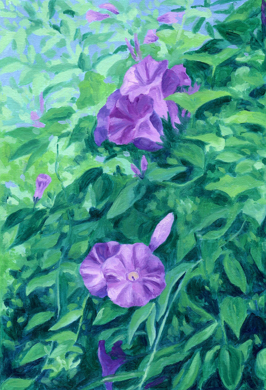 morning glory - art print