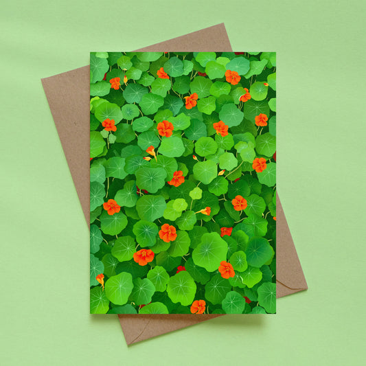 greeting card - nasturtiums
