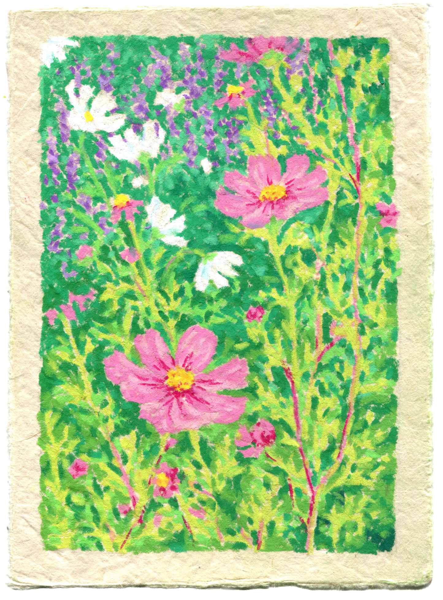 oil pastel cosmos - framed original