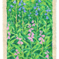 oil pastel bluebells - original