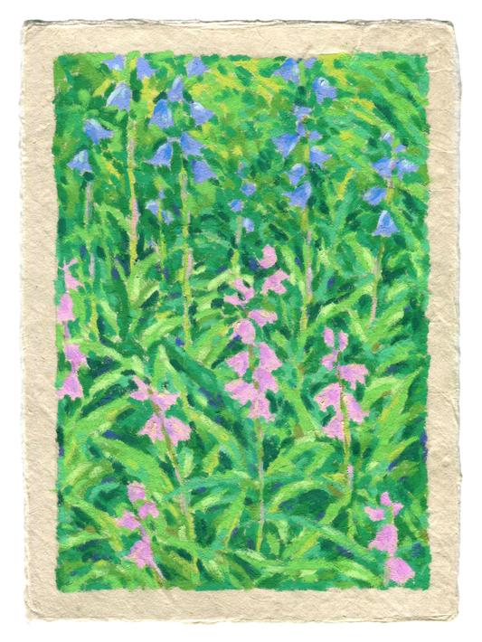 oil pastel bluebells - original