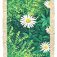 oil pastel garden #5 - original