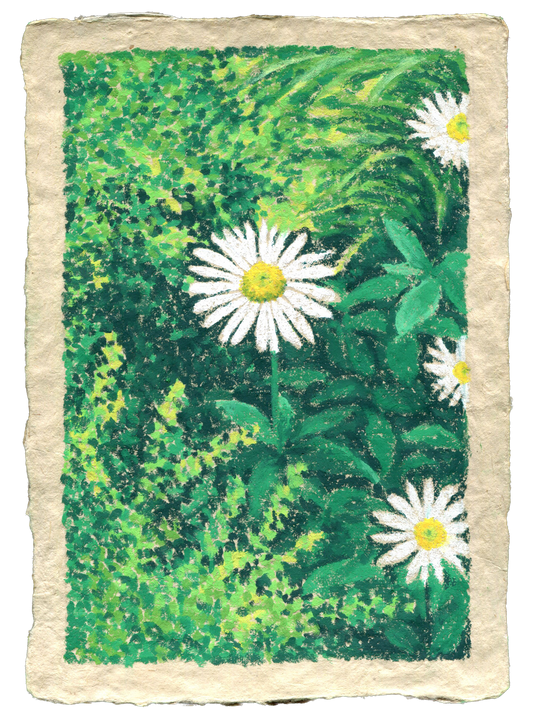 oil pastel garden #5 - original