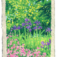 oil pastel garden #9 - original