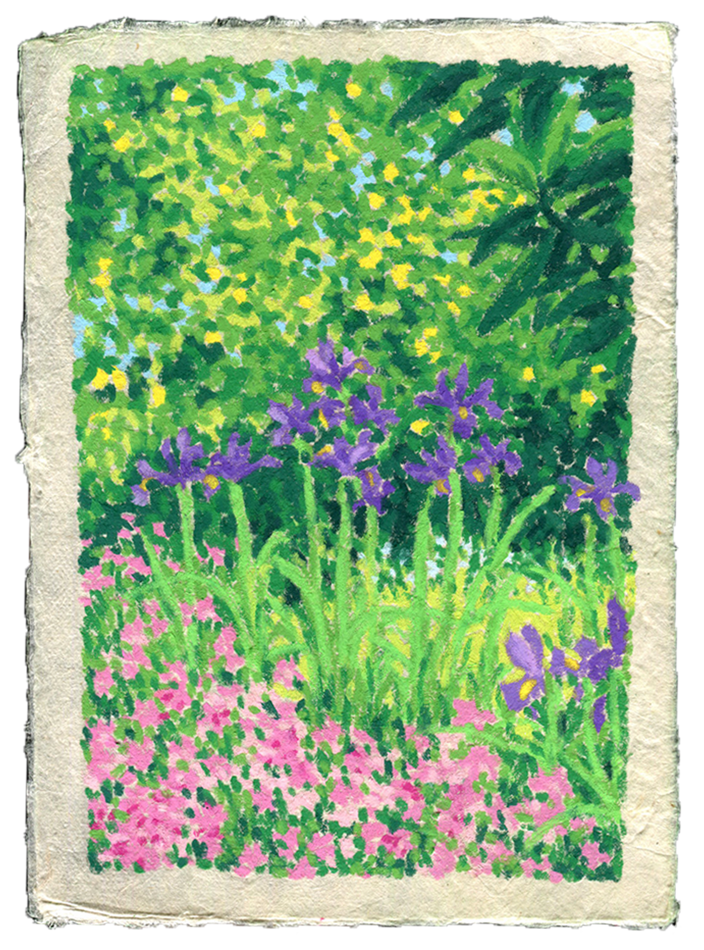 oil pastel garden #9 - original