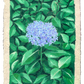 oil pastel garden hydrangea - original