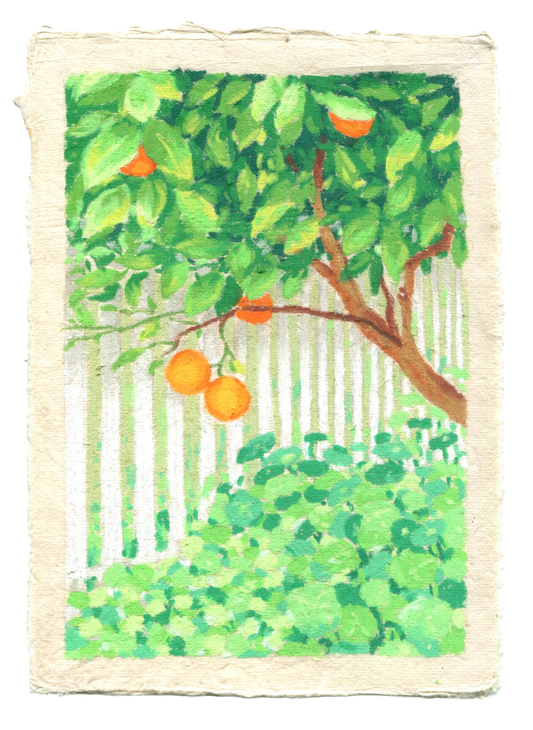 oranges by the picket fence - original