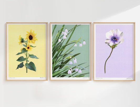 pastel flowers - art print trio