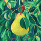a perfect pear - art print