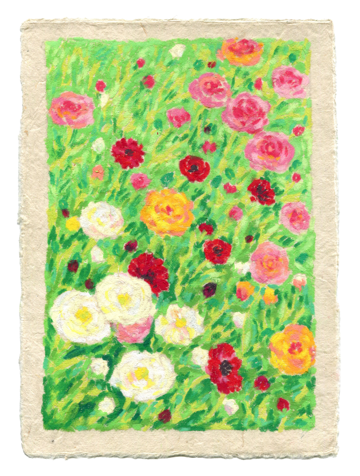 oil pastel ranunculus - framed original