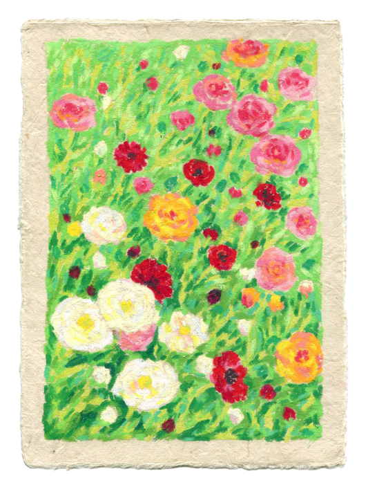 oil pastel ranunculus - framed original