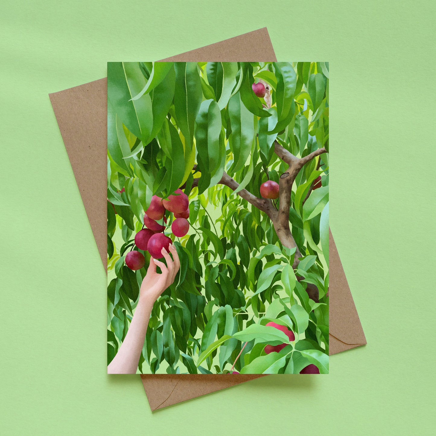 greeting card - ripening nectarines