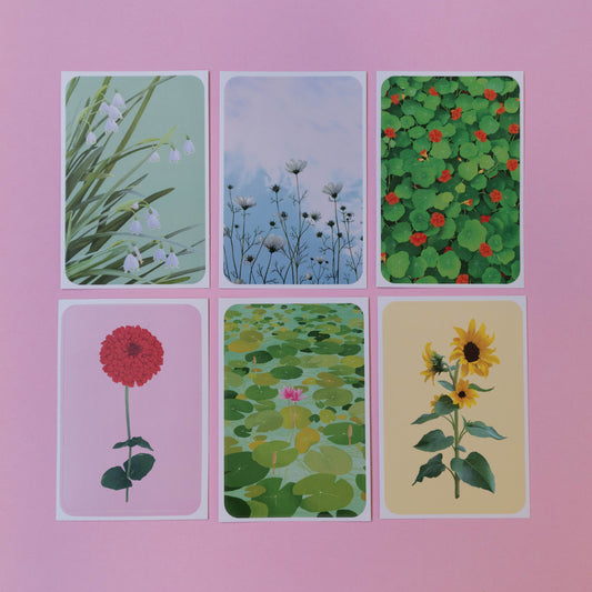 sticker 6 pack - bloom