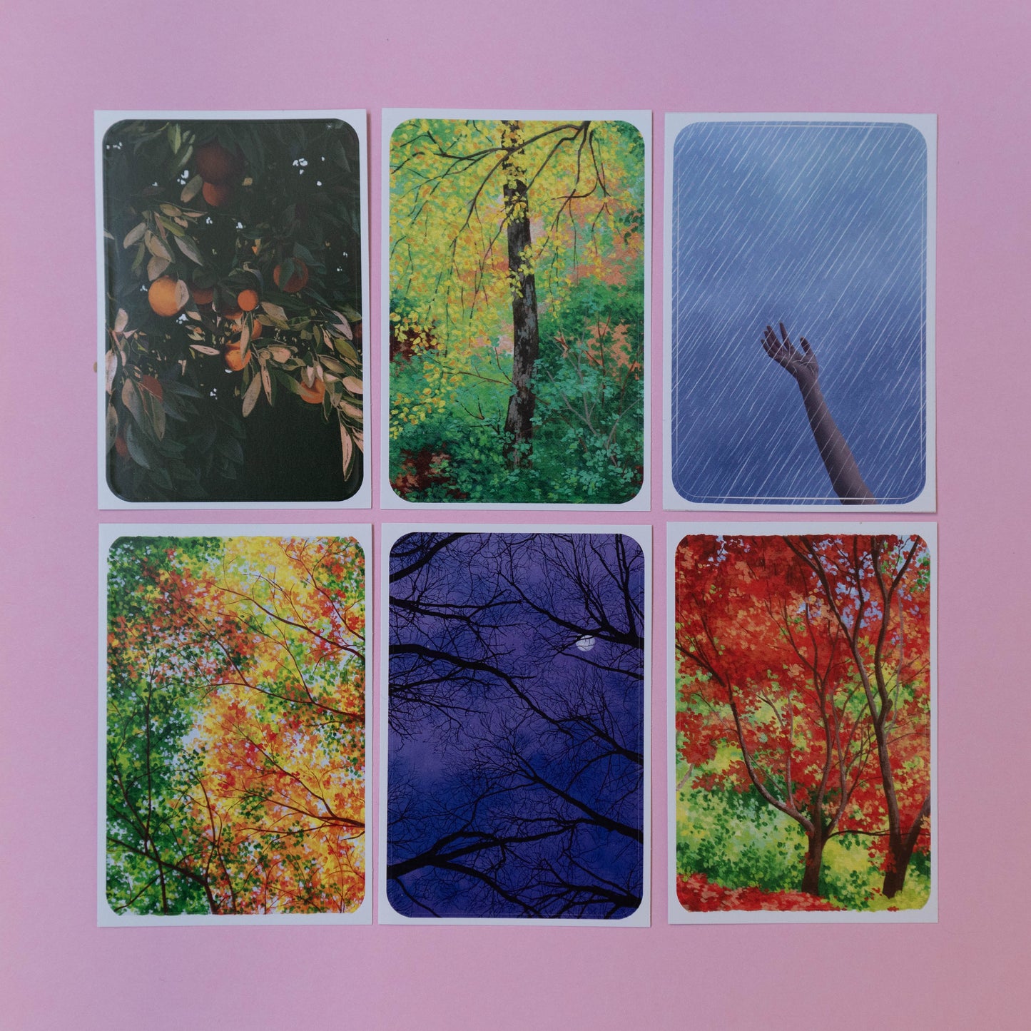 sticker 6 pack - cool seasons