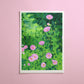 summer cosmos - art print