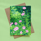 greeting card - summer cosmos
