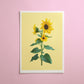 sunflower stem - art print
