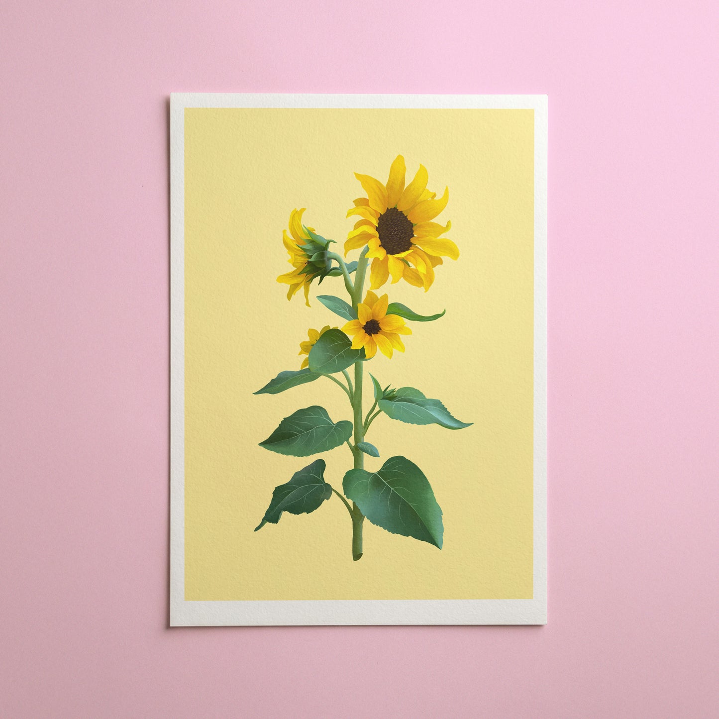 sunflower stem - art print