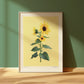 sunflower stem - art print