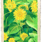 oil pastel sunflowers - framed original