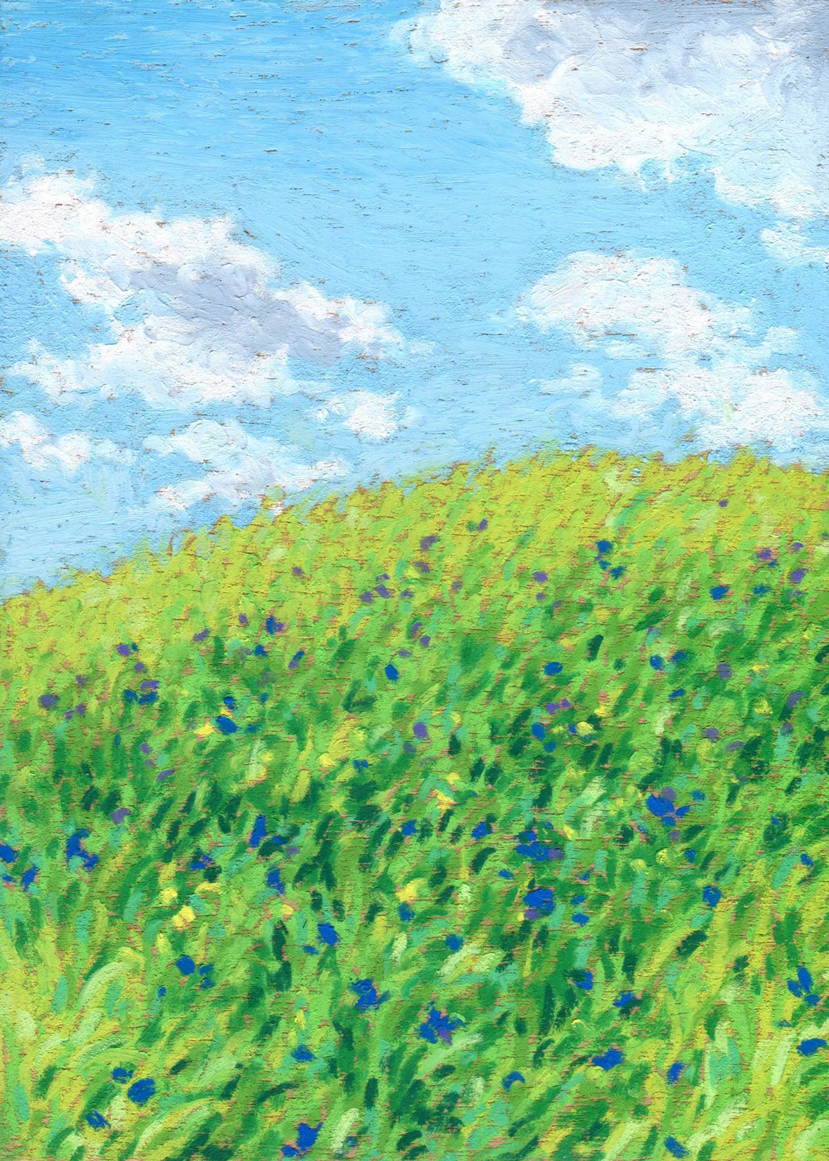 wildflowers on the hill - framed original
