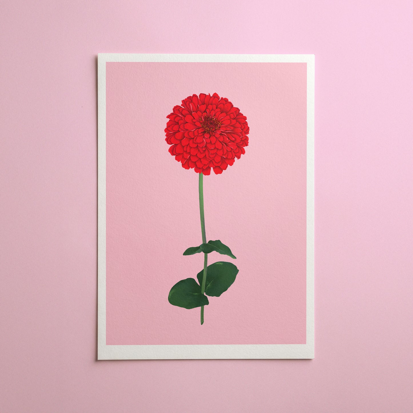 zinnia stem - art print