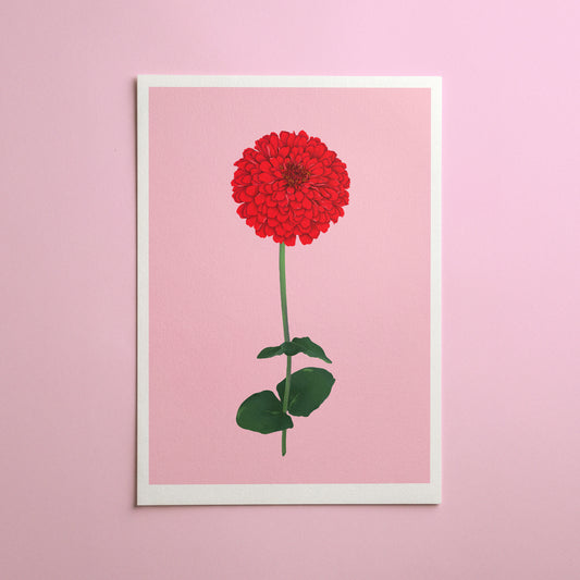 zinnia stem - art print