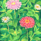 oil pastel zinnias - art print