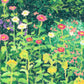 oil pastel garden #2 - art print